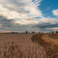 ... :: василий 