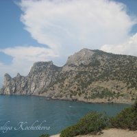 Природа Крыма :: Amazing Cosmea