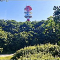 Природа Заостровья. :: Валерия Комова