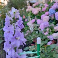 ,,, :: Сергей Тимоновский ,,, :: Сергей Тимоновский