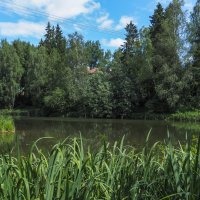 Подмосковные Пейзажи :: юрий поляков