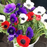 " :: Светлана Хращевская " :: Светлана Хращевская