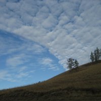 Осень :: Anna Ivanova