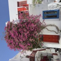 Miconos :: Vasile Melnic