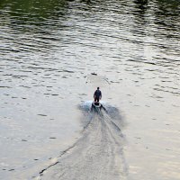 Новый вид транспорта :: Александр Чеботарь Новый вид транспорта :: Александр Чеботарь