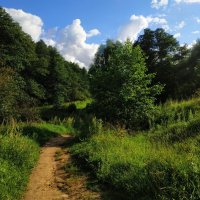 Мой путь светел :-) :: Андрей Лукьянов