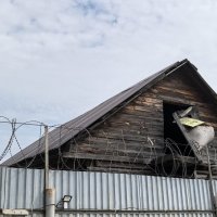 За колючкой :: Алексей Лукаев