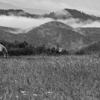 Про Сахалин. :: fillarret-2 Про Сахалин. :: fillarret-2