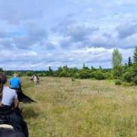 Летний день в полях. :: Ольга 