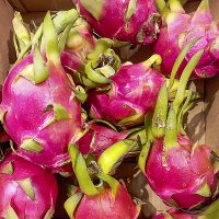 Питахайю (драконий фрукт) :: Валерий Иванович