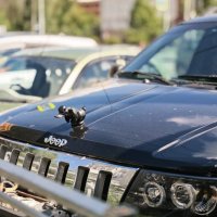 Авто для Дональда :: Dmitry i Mary S