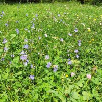 ,,, :: Сергей Тимоновский