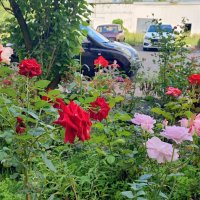 ,,, :: Сергей Тимоновский