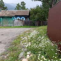 Конец июля - тоже середина лета :: Галина Минчук Конец июля - тоже середина лета :: Галина Минчук