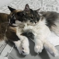 Взаимозаменяемость :: LudMila Взаимозаменяемость :: LudMila