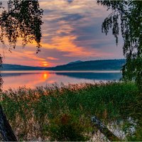 **** :: Алексей Мезенцев