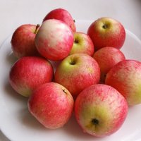 Первые яблоки этого года! :: Алена