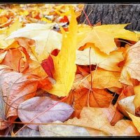 ... нападало ... :: Руслан ... нападало ... :: Руслан