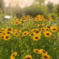 Лето :: Андрей Лето :: Андрей