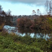 ------------------ :: igor G.