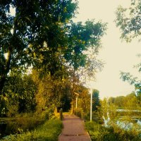 Летний вечер :: Сергей Кочнев