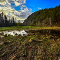 На просторах весны. :: Юрий кот