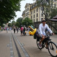 Солнечный город :: redfox 