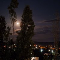 Ночь...Луна...Огни города... :: tatyana 