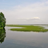 Разлив. :: VasiLina *