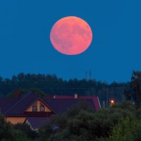 осетрово-урожайная Луна :: Виталий Емельянов