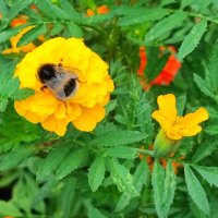 ,,, :: Сергей Тимоновский