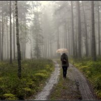 *** :: Aleksandr Gal