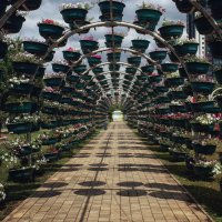 Парк влюбленных. :: Лилия .