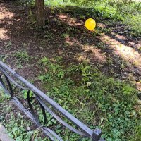 ПРОШАРИК :: Виктор Никитенко