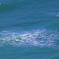 Хайфа 2025 :: Владислав Воровский 