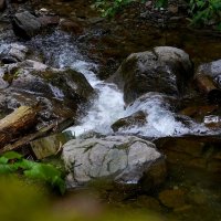 Бурный поток :: Татьяна Тюменка