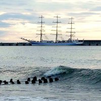 *** :: Владимир Захаров