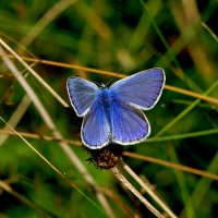 из снятого 1 августа 43 :: Александр Прокудин из снятого 1 августа 43 :: Александр Прокудин