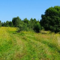 Смоленская область в августе (репортаж из поездок по). :: Милешкин Владимир Алексеевич 
