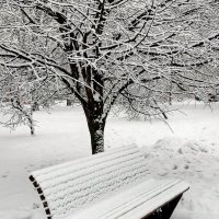 Выпал снег :: Любимова Ольга 