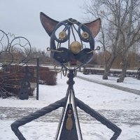 кот :: Елена Шаламова кот :: Елена Шаламова