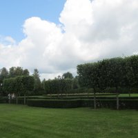 Рамонь :: Елена Шаламова