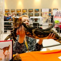 Выставка кошек :: Андрей 