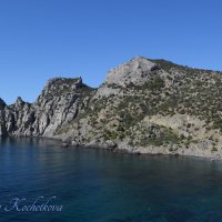 Природа Крыма :: Amazing Cosmea