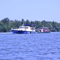 У Дона. :: Виктор 