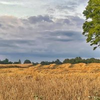 Summer 2025 1 :: Arturs Ancans