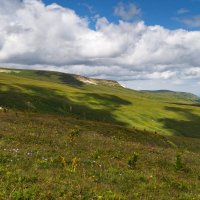Лаго-Наки июль 2024 :: Игорь Сикорский Лаго-Наки июль 2024 :: Игорь Сикорский