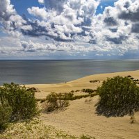 Дюны :: Петр 