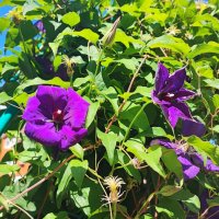 ,,, :: Сергей Тимоновский