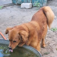 Жаркий день... :: Наталья 